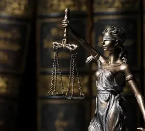 Criminal Defense Lawyer Wayne County | Not Guilty Law