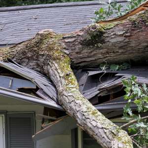 Trusted Public Claims Adjuster Near Me Bridgeview | Public Claims Adjuster Near Me Bridgeview