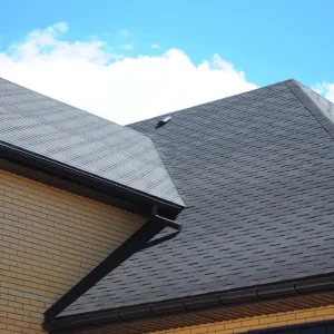 Roofing Companies Near Me Wheaton | TM&S